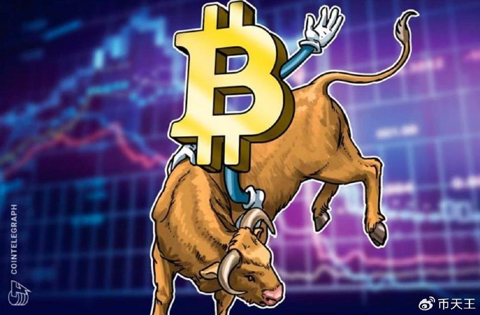 生态健康是区块链长期成功的关键，这是否意味着项目治理与社区活力才是决定胜负的核心因素？